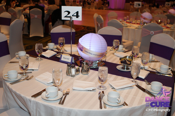 DFTC2013-LNT-0206